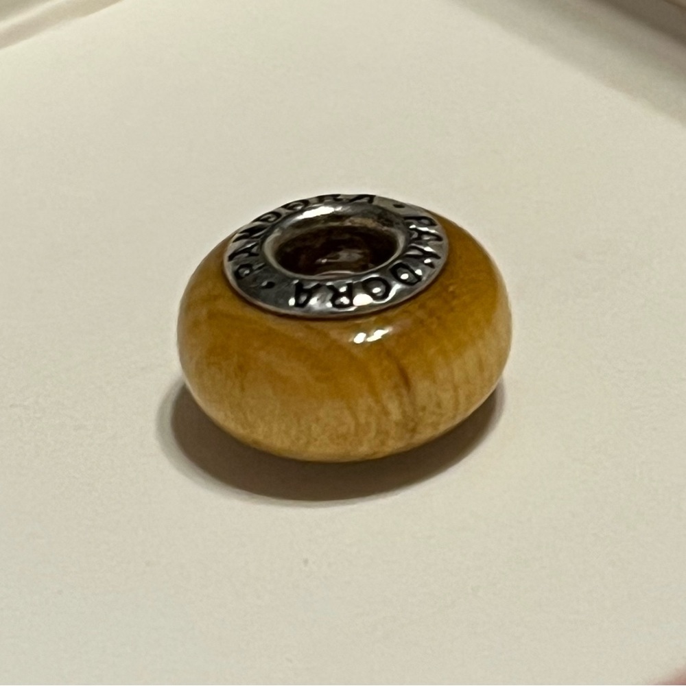 Pandora Bracelet Charm